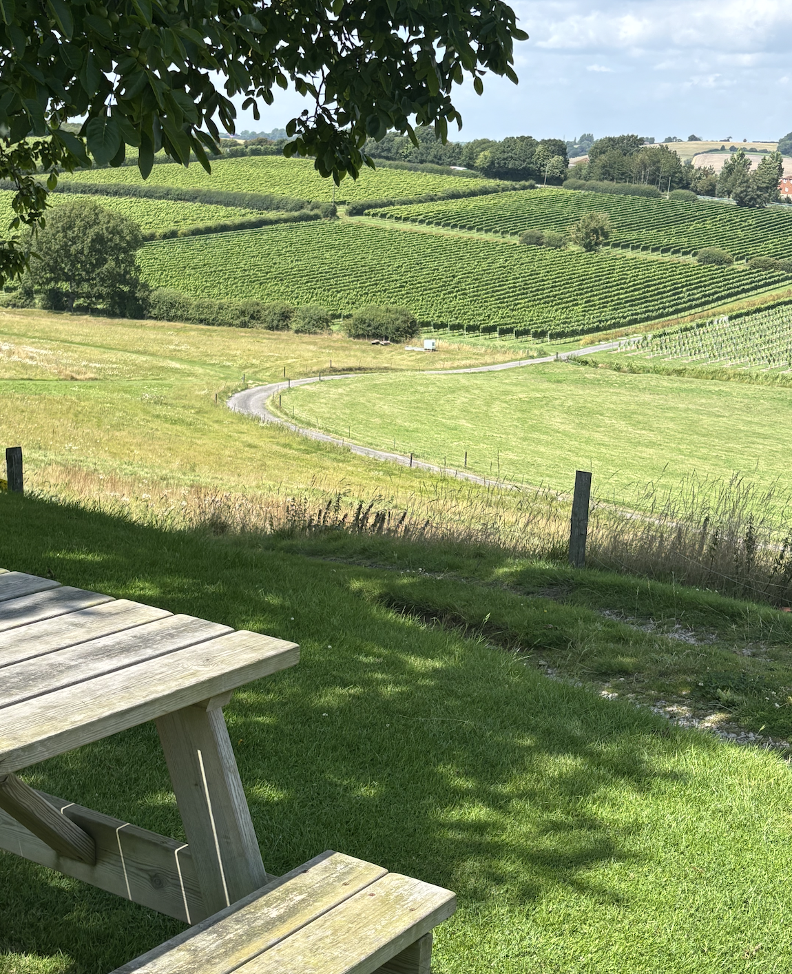 Less Foot, More Fizz: Double Vineyard Tour