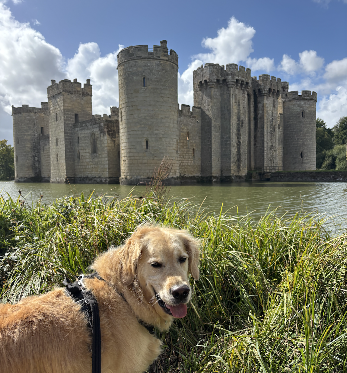 Historic Bodiam Walk And Wine Tour