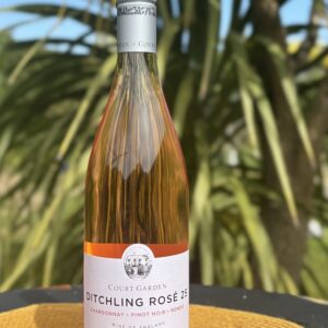 Court Garden 2025 Ditchling Rose