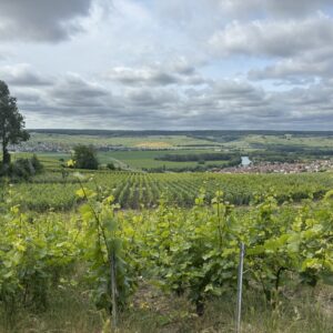 The Champagne Road Trip - Overview and deposit link
